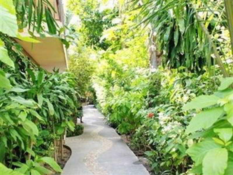 B2@Samui Beach Resort Bãi biển Chaweng Ngoại thất bức ảnh